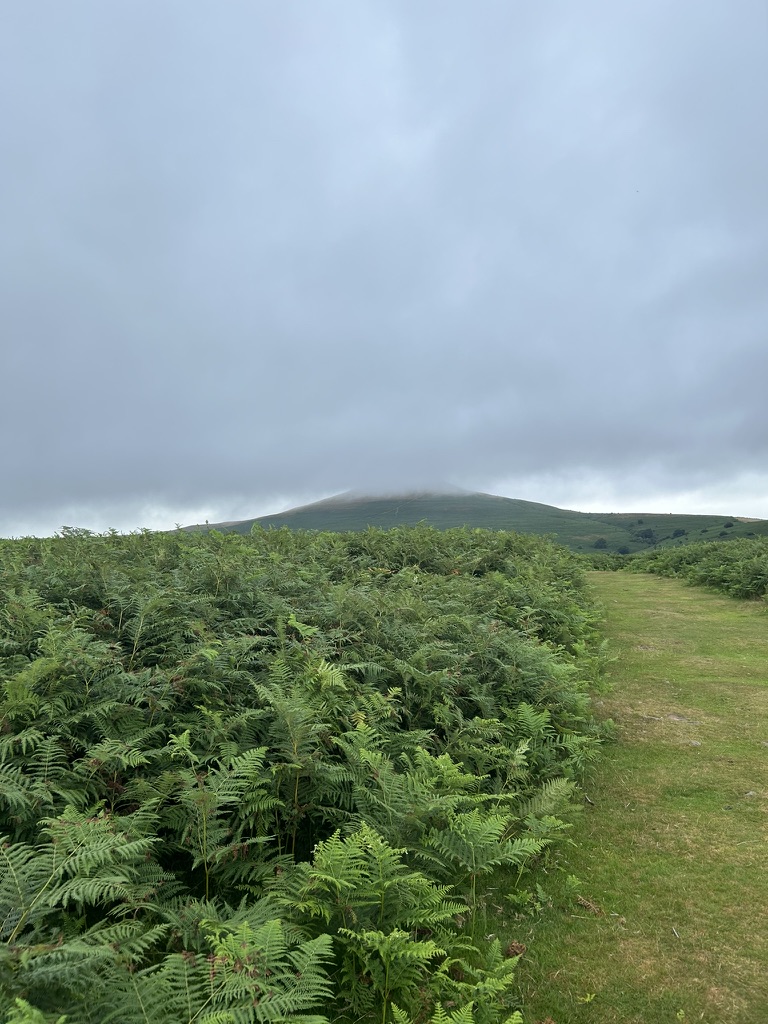 Views from Sugarloaf Mountain