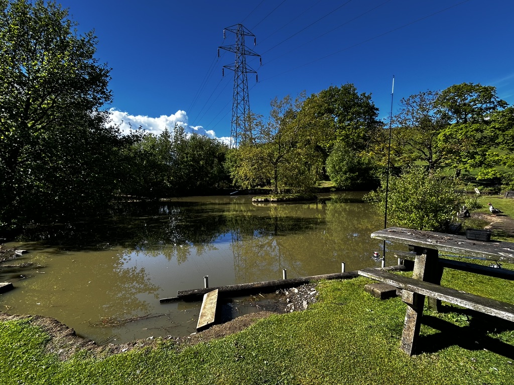 Dee's Fishing Ponds